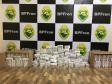 Mais de 100 mil comprimidos e diversos outros materiais hospitalares contrabandeados são apreendidos pela Polícia de Fronteira em Guaíra (PR)