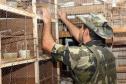 Curitiba, 23 de julho de 2019. BPAmb deflagra a Operação Curio Livre. Foto: Policial do BPAmb identifica pássaros encontrados numa da residência alvo de mandado de busca e apreensão.