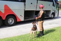 Rodovias estaduais terão policiamento reforçado durante o feriado de Páscoa