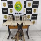 PMPR