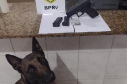 BPRv encaminha homem por porte ilegal de arma de fogo e apreende 30 munições em Morretes (PR)