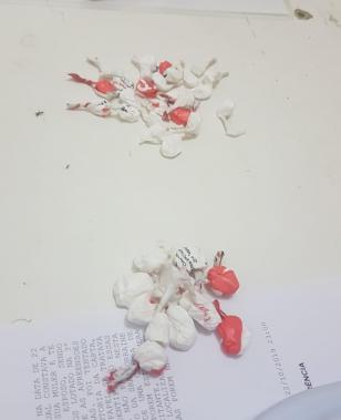 Denúncia leva PM a prender mulher e apreender cocaína no Litoral do estado