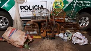 Em situação de pesca ilegal, arma de fogo, rede de emalhar e aves silvestres são apreendidas pela PM em Quinta do Sol, no interior do Paraná