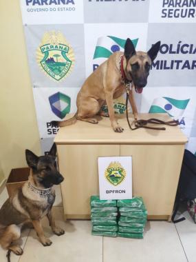 BPFron apreende mais de dez quilos de maconha em um veículo de Marechal Cândido Rondon (PR)