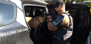 PM do Sudoeste do estado encaminha foragidos da justiça e envolvidos com tráfico de drogas