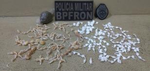 BPFron apreende 294 porções de drogas durante a Operação Hórus, no Oeste do estado