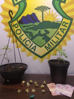 PM apreende dois pés de maconha e 13 porções da droga durante patrulhamento em Fazenda Rio Grande (PR)