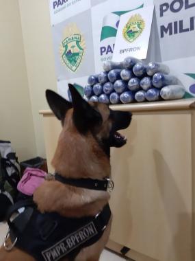 Abordagem do BPFron em Cascavel (PR) resulta em 23 quilos de haxixe apreendidos