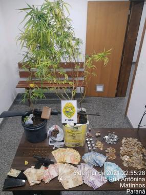 PM é acionada por disparo de arma de fogo e acaba localizando R$ 10 mil e pés de maconha em Matinhos (PR)