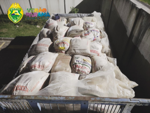 Duas toneladas de soja furtadas são recuperadas pela PM em Paranaguá (PR)