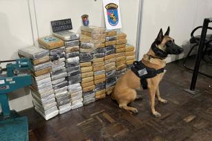 Foto: SESP/PMPR