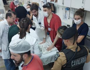 A rápida intervenção e o profissionalismo demonstrados pelos policiais do RPMon foram cruciais para garantir o bem-estar da criança