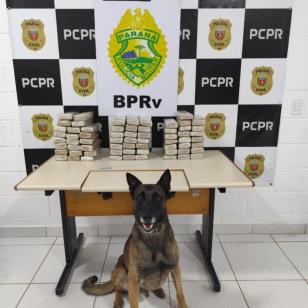 PMPR