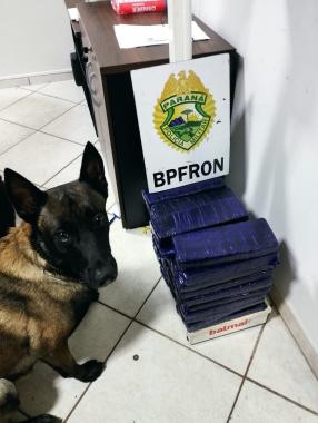 PMPR