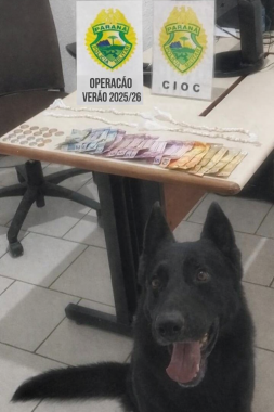 Ao todo, foram apreendidas 101 pedras de crack e a quantia de R$ 315,35 em dinheiro