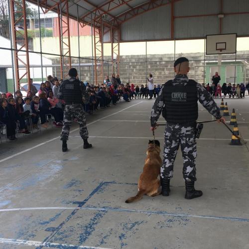 Em Ponta Grossa (PR), alunos de escola Municipal recebe visita do Canil do 1º BPM