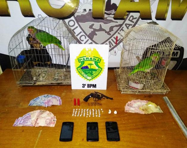 PM prende seis pessoas e apreende drogas, arma e animais silvestres no Oeste do estado