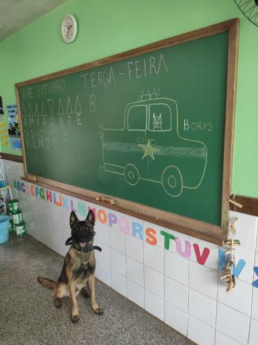 Cão da PM é atração em escola de Ouro Verde do Oeste