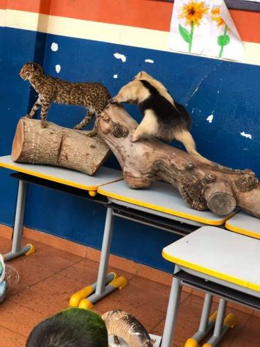 Policiais militares de Ribeirão do Pinhal (PR) realiza evento em comemoração ao Dia das Crianças