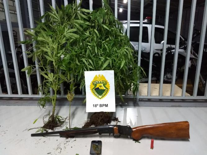 No Norte do estado, PM aborda homem e acaba apreendendo pés de maconha e espingarda