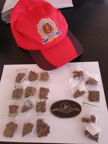 Equipe Canil da Polícia Rodoviária Estadual apreende maconha em duas abordagens no Litoral