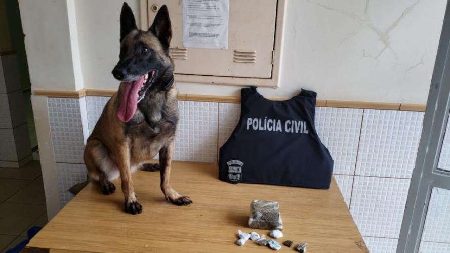 Suspeito de homicídio é preso pela Polícia Militar e Civil em Campo Mourão, no Centro-Oeste do estado