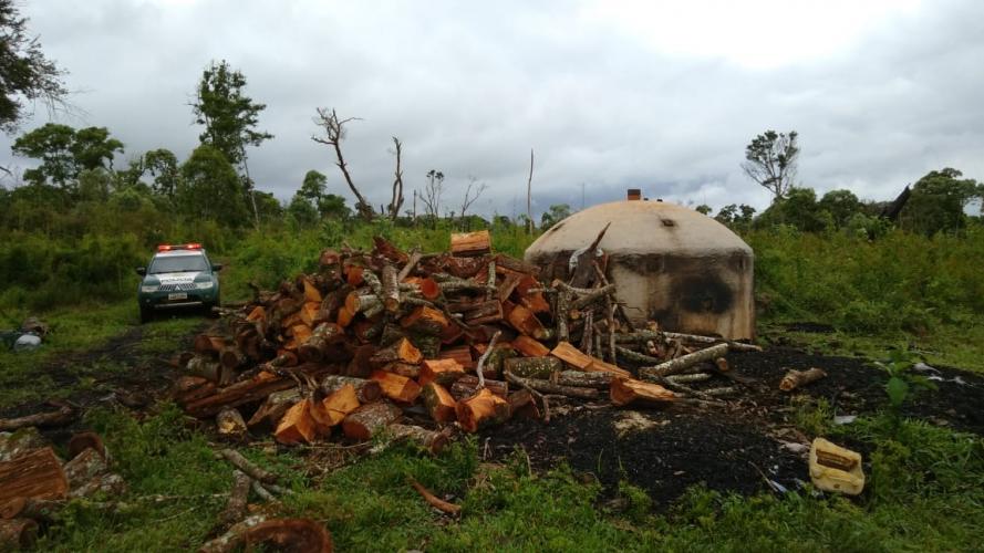 Homem recebe multa de R$ 90 mil por infração ambiental, em Pinhão, no interior do estado