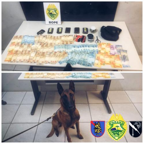 Diversos tabletes de haxixe e mais de R$ 5 mil foram apreendidos pela PM em Curitiba (PR)