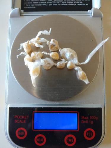 Em Siqueira Campos, PM faz abordagem e apreende pedras de crack