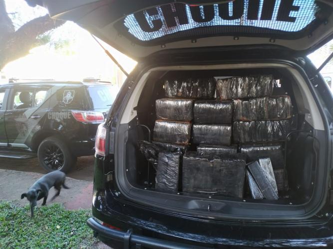 PM apreende quase 300 quilos de maconha e prende cinco pessoas em Cascavel (PR)