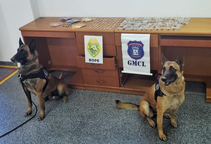 BOPE presta apoio à Guarda Municipal de Campo Largo (PR) e apreende mais de 150 porções de drogas