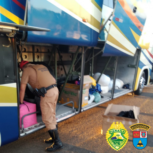 Batalhão Rodoviário apreende diversas mercadorias em descaminho em Floresta, no Norte do estado