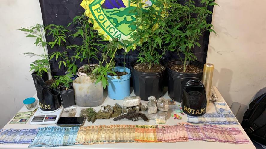Em Curitiba, PM prende três homens e apreende 16 pés de maconha e mais de R$ 2,2 mil em dinheiro