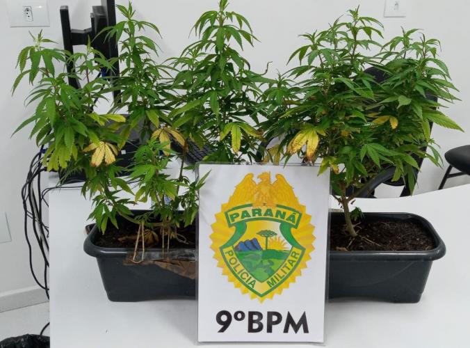 Em Paranaguá, PM prende dupla por envolvimento com tráfico de drogas