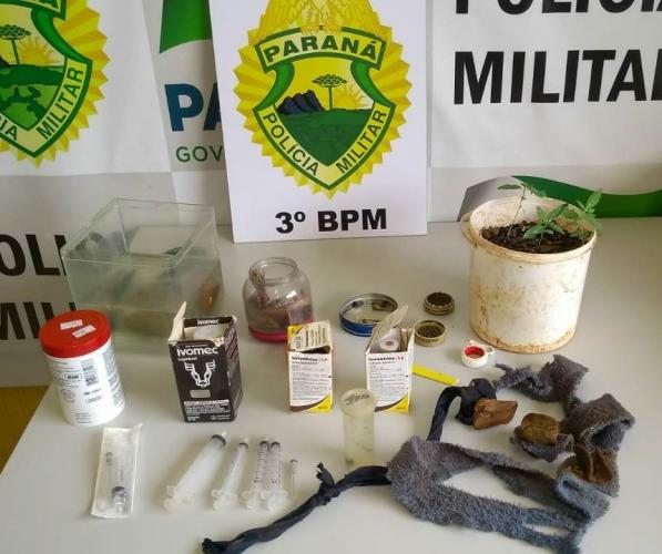 Ao atender denúncia de rinha de galo, PM descobre maus tratos a animais e pés de maconha em São João (PR)