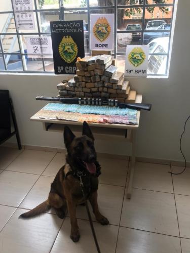 Durante a Operação Metrópolis, PM apreendeu 33,5 quilos de maconha e uma espingarda no Oeste do estado