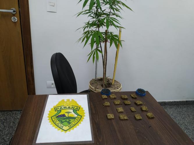 ROCAM prende três pessoas, apreende carro roubado e porções de maconha em Curitiba e no Litoral do estado