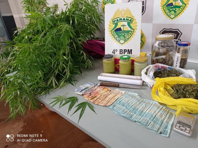 Em situações distintas, PM apreende pés de maconha e prende suspeito de agredir estudante em Maringá
