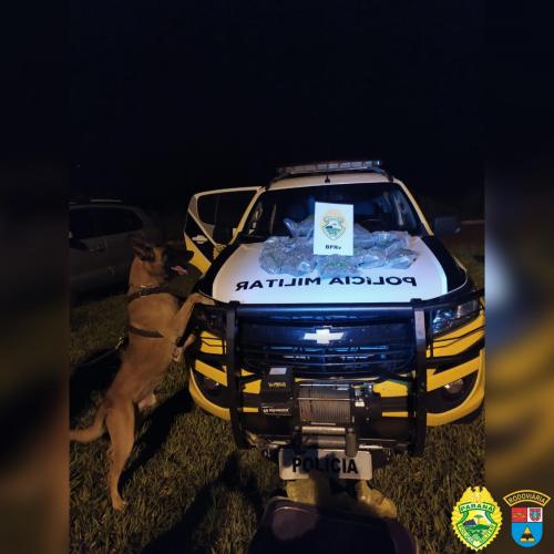 BPRV apreende mais de 160 kg de entorpecentes são apreendidos em ações separadas, no interior do Paraná