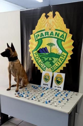 Resultados Operação Vida