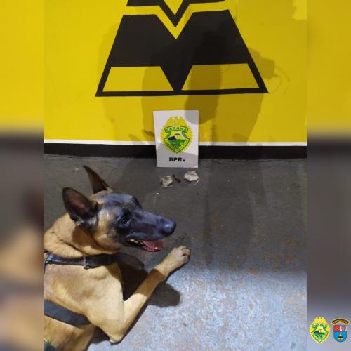 BPRv apreende uma arma de fogo e maconha em situações distintas no Noroeste e Norte do estado