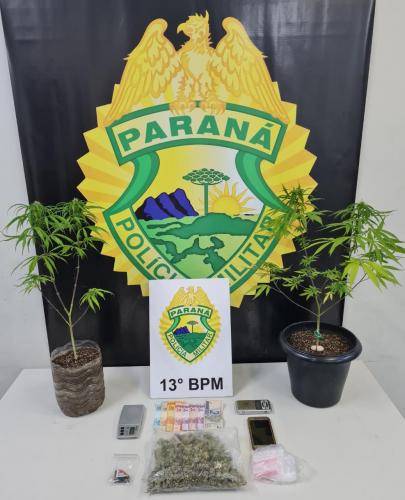 Foragido da justiça é encontrado pela PM com pés de maconha, morruga e haxixe em Curitiba