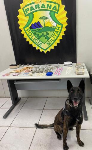Cão de faro da PM auxilia na apreensão de quase dois quilos de drogas na CIC, em Curitiba