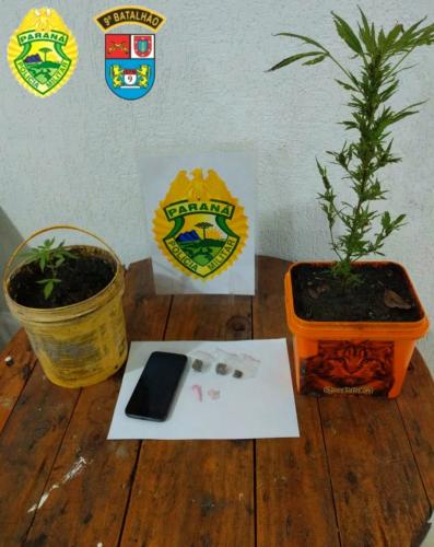 PM encaminha adolescente e apreende drogas e dois pés de maconha no Litoral do estado