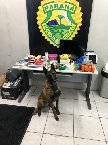 Cão de faro auxilia policiais militares na apreensão de quase R$ 40 mil e mais de 8,4 quilos de drogas no bairro Xaxim