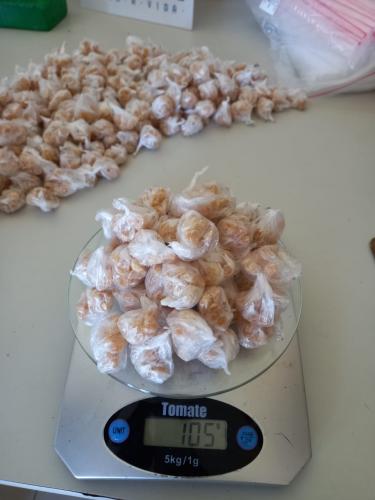 rotan2022operverao_1