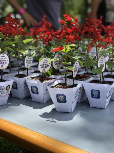 evento dia das mulheres