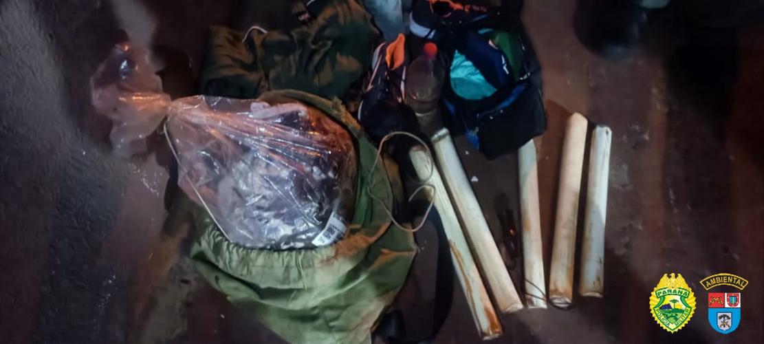 bpamb-fv_23052022_3.