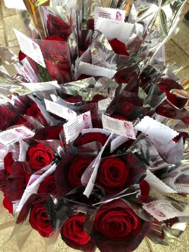 passeiodiasdasmaes2022_6