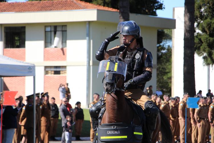 FOTO: SD. BERG / PMPR